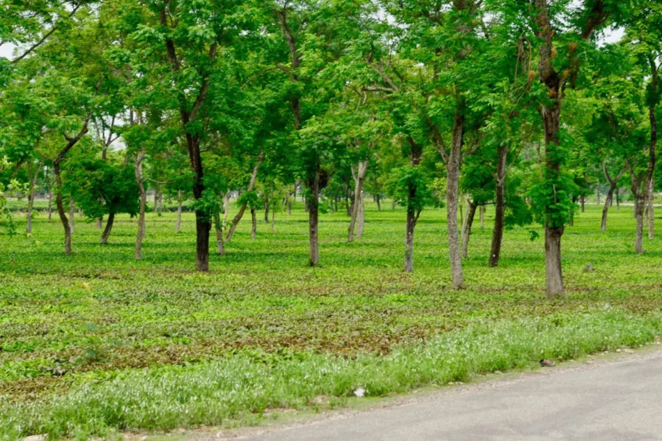 Welcome to Jai EcoSpaces